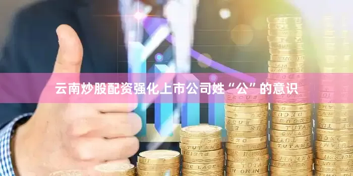 云南炒股配资强化上市公司姓“公”的意识