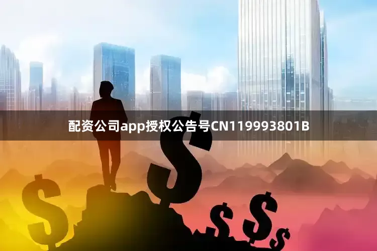 配资公司app授权公告号CN119993801B