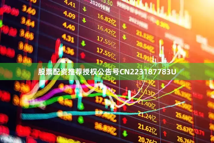 股票配资推荐授权公告号CN223187783U