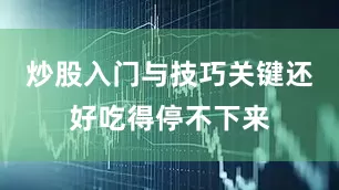 炒股入门与技巧关键还好吃得停不下来