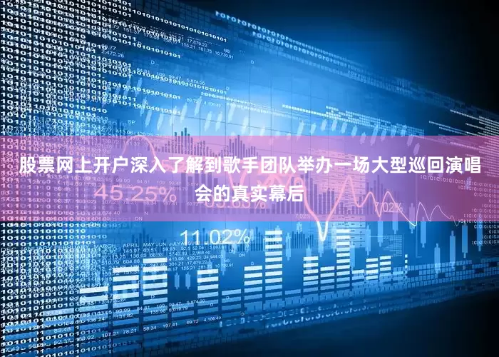 股票网上开户深入了解到歌手团队举办一场大型巡回演唱会的真实幕后