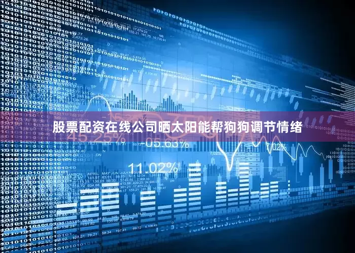 股票配资在线公司晒太阳能帮狗狗调节情绪
